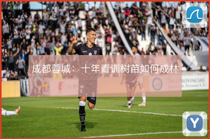成都蓉城:十年青训树苗如何成林