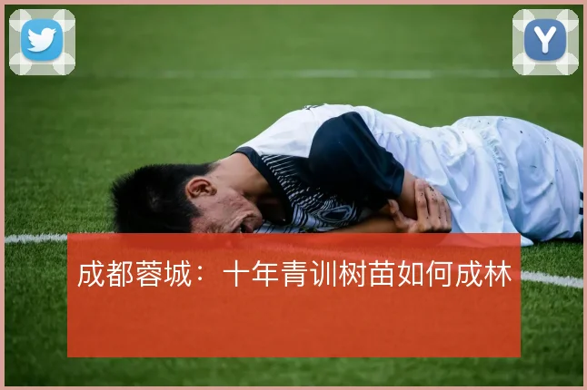 成都蓉城：十年青训树苗如何成林